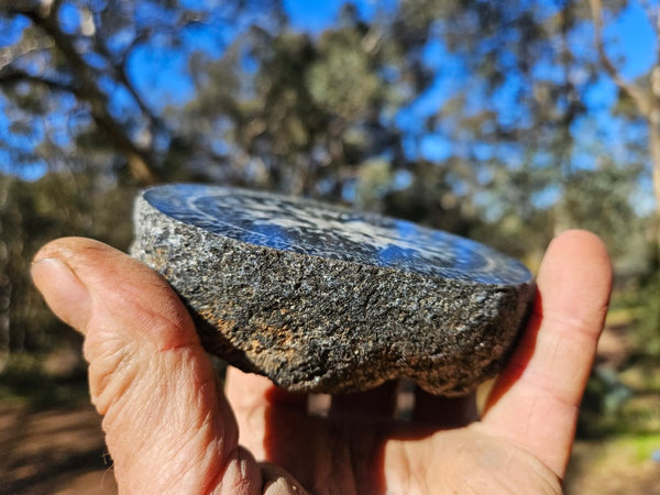 Polished Orbicular Granite. OG196