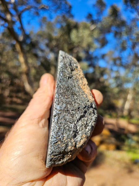 Polished Orbicular Granite. OG197