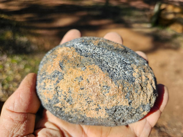 Polished Orbicular Granite. OG197