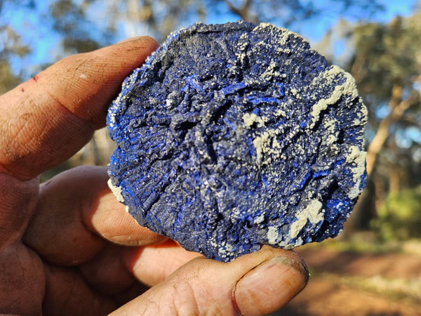 Azurite Sun  AZ136