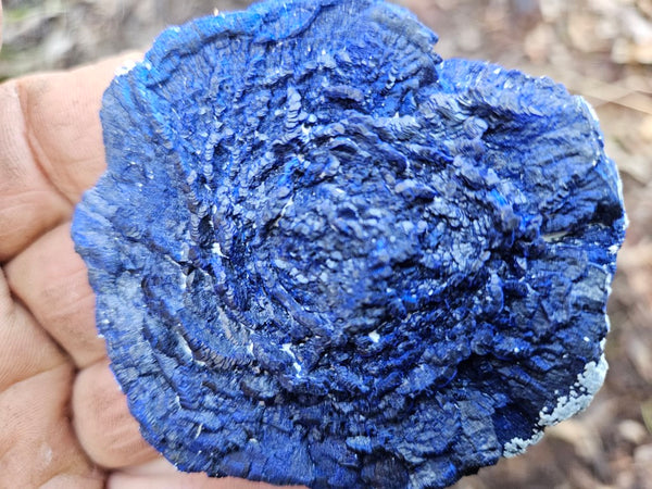 Azurite Sun  AZ136