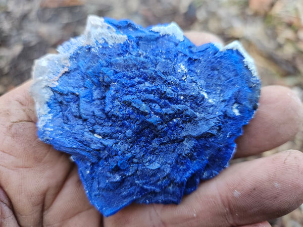 Azurite Sun  AZ137