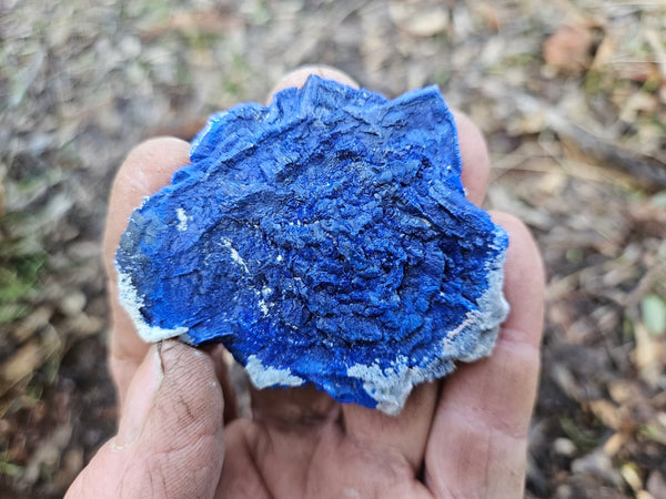 Azurite Sun  AZ137