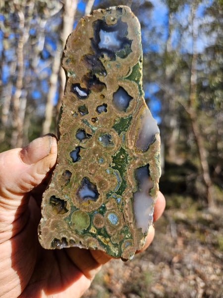 Polished Rainforest Jasper RFJ145