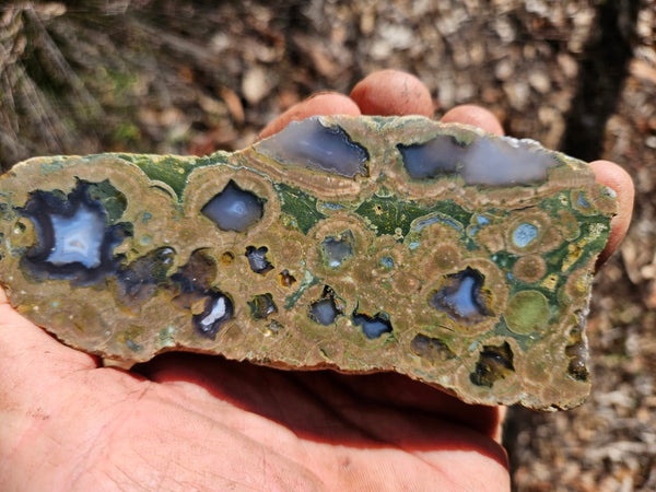 Polished Rainforest Jasper RFJ145