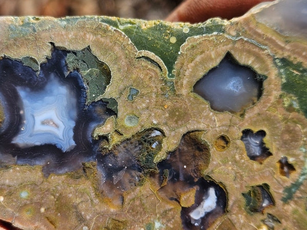 Polished Rainforest Jasper RFJ145