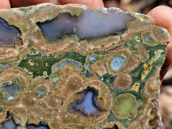 Polished Rainforest Jasper RFJ145