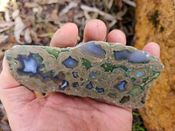 Polished Rainforest Jasper RFJ145