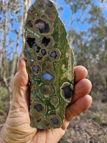 Polished Rainforest Jasper slab RFJ144