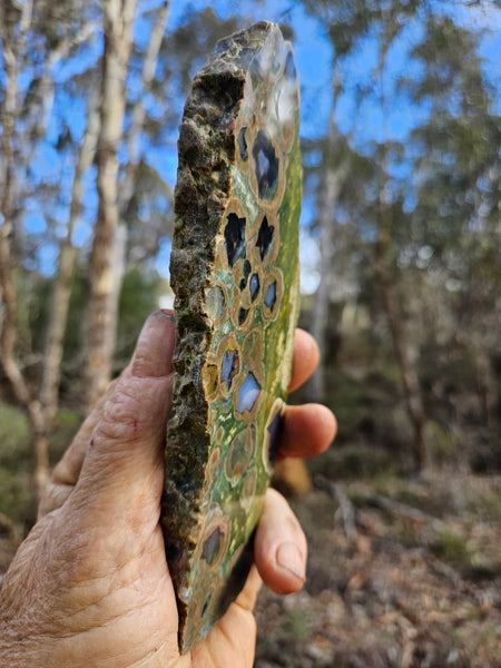 Polished Rainforest Jasper slab RFJ144