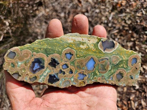 Polished Rainforest Jasper slab RFJ144