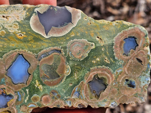 Polished Rainforest Jasper slab RFJ144