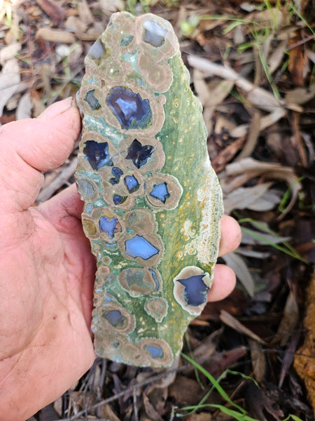 Polished Rainforest Jasper slab RFJ144