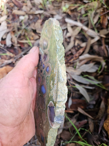 Polished Rainforest Jasper slab RFJ144