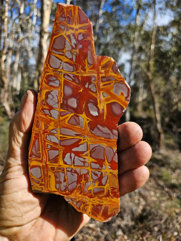 Polished Noreena Jasper slab. NJ470