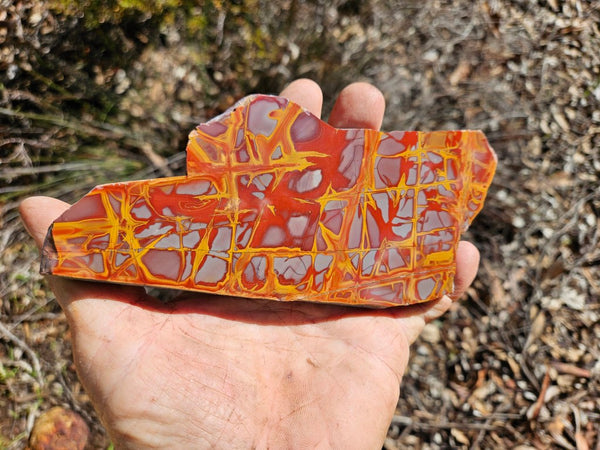 Polished Noreena Jasper slab. NJ470