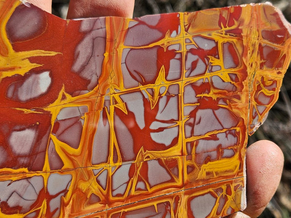 Polished Noreena Jasper slab. NJ470