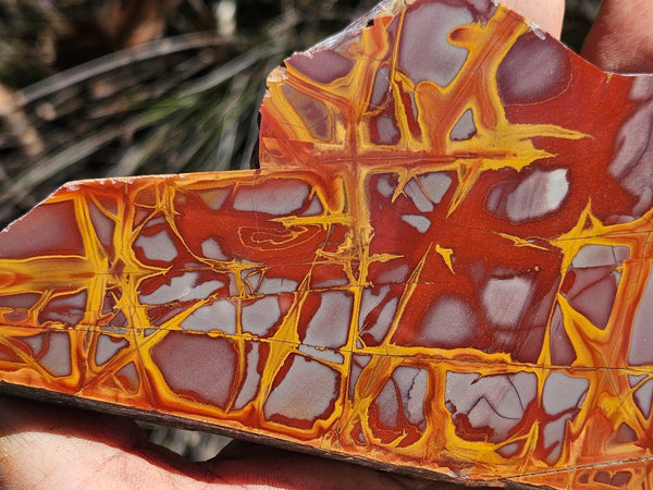 Polished Noreena Jasper slab. NJ470