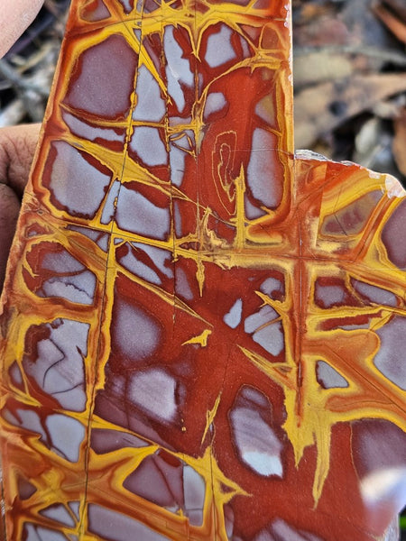 Polished Noreena Jasper slab. NJ470