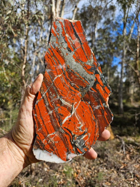 Starry Jasper polished slab SJ150