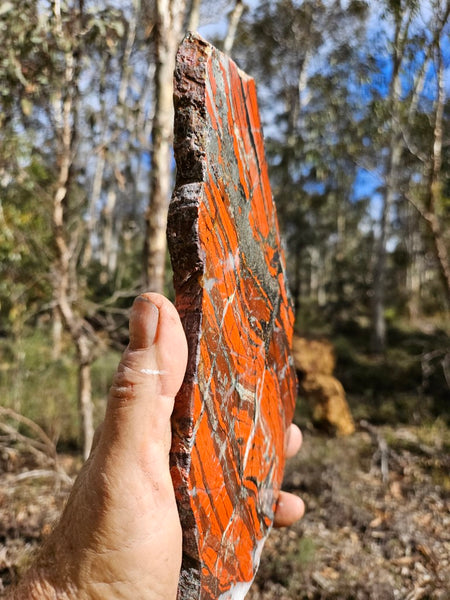 Starry Jasper polished slab SJ150