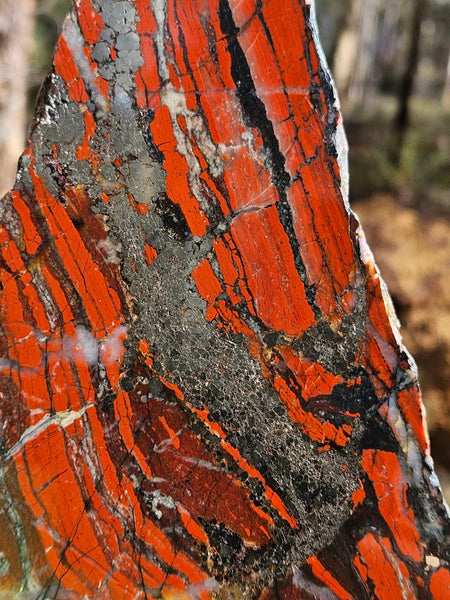 Starry Jasper polished slab SJ150