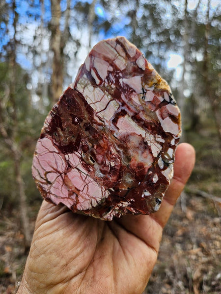 Polished Brecciated Pink Opal  POP193