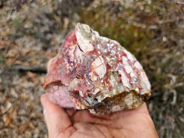 Polished Brecciated Pink Opal  POP193