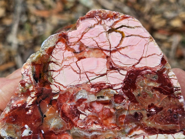 Polished Brecciated Pink Opal  POP193