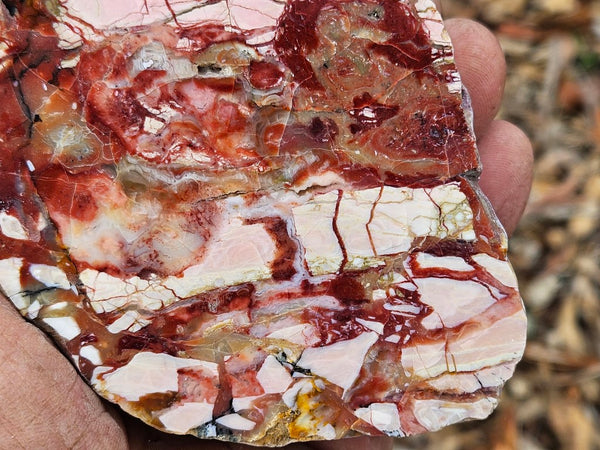 Polished Brecciated Pink Opal  POP193