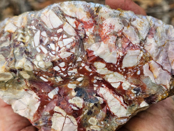 Polished Brecciated Pink Opal  POP193