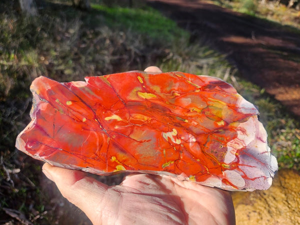 Polished Mookaite slab MK494