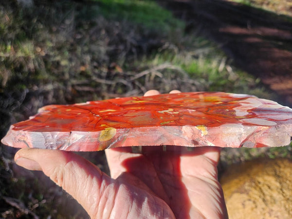 Polished Mookaite slab MK494