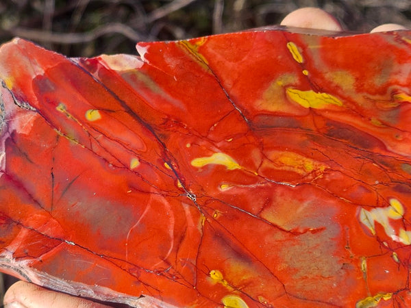 Polished Mookaite slab MK494