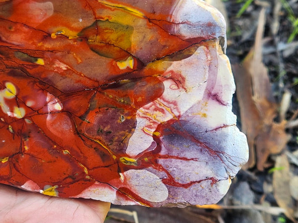 Polished Mookaite slab MK494