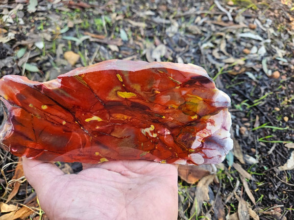 Polished Mookaite slab MK494