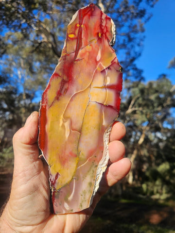 Polished Mookaite slab MK495