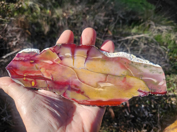 Polished Mookaite slab MK495