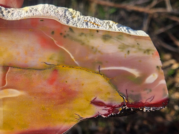 Polished Mookaite slab MK495