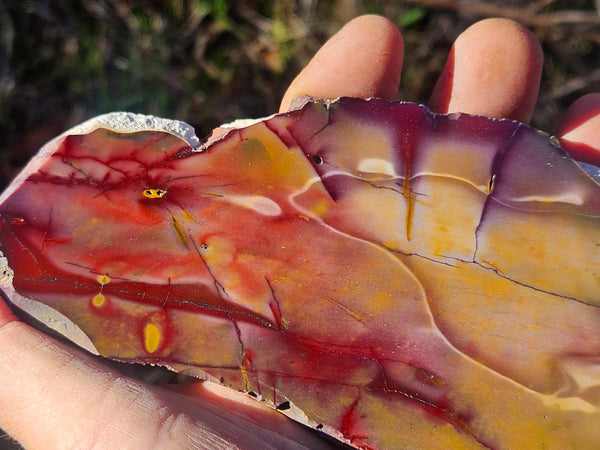 Polished Mookaite slab MK495