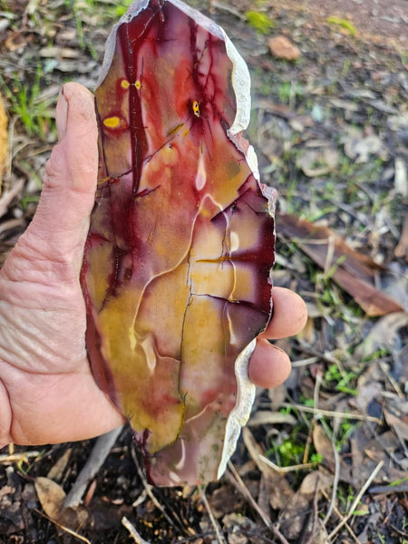 Polished Mookaite slab MK495