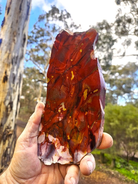 Polished Mookaite slab MK494