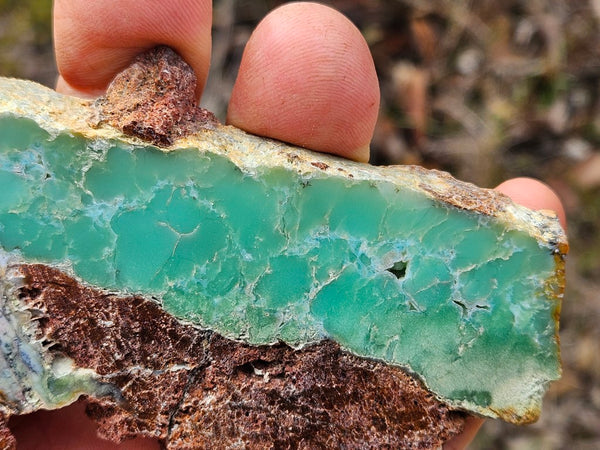 Polished  Chrysoprase slab CH466