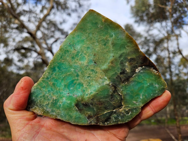 Polished  Chrysoprase  CH467