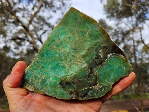 Polished  Chrysoprase  CH467