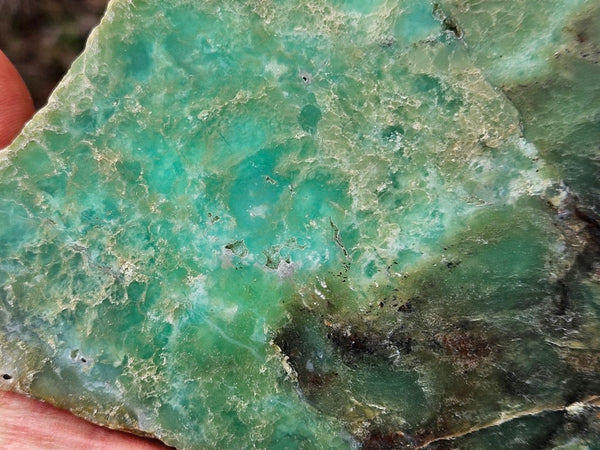 Polished  Chrysoprase  CH467