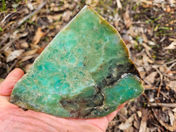 Polished  Chrysoprase  CH467