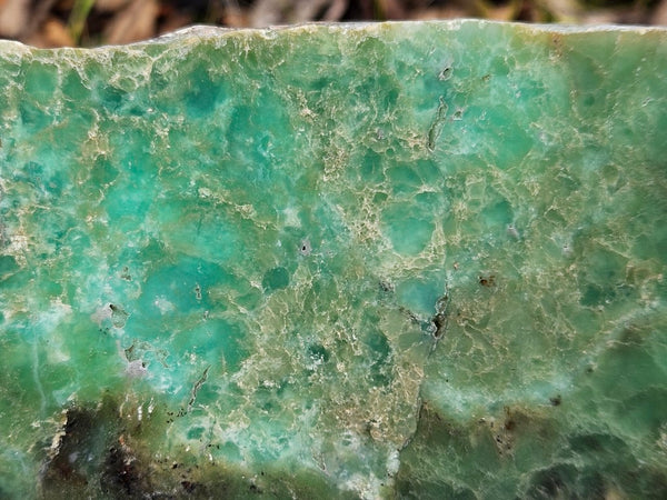 Polished  Chrysoprase  CH467