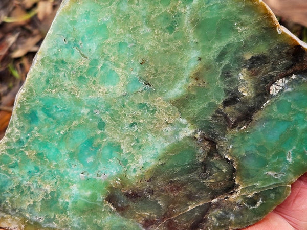 Polished  Chrysoprase  CH467