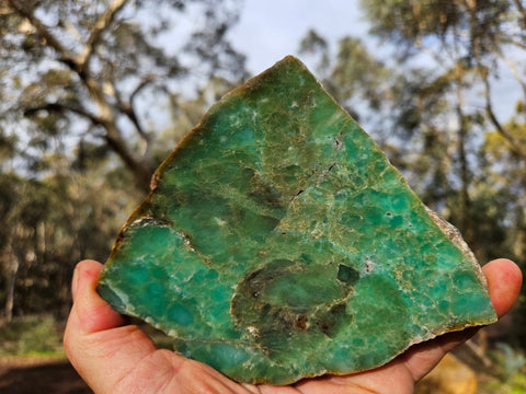 Polished  Chrysoprase  CH468